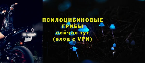 не бодяженный Алзамай