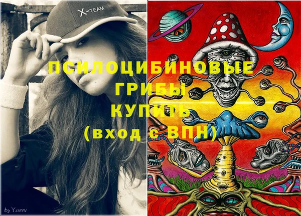 не бодяженный Алзамай