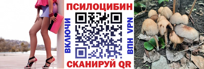 Галлюциногенные грибы Psilocybe  закладки  Елизово 